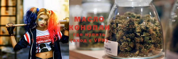 мдпв Пестово