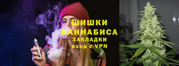 ПСИЛОЦИБИНОВЫЕ ГРИБЫ Переславль-Залесский