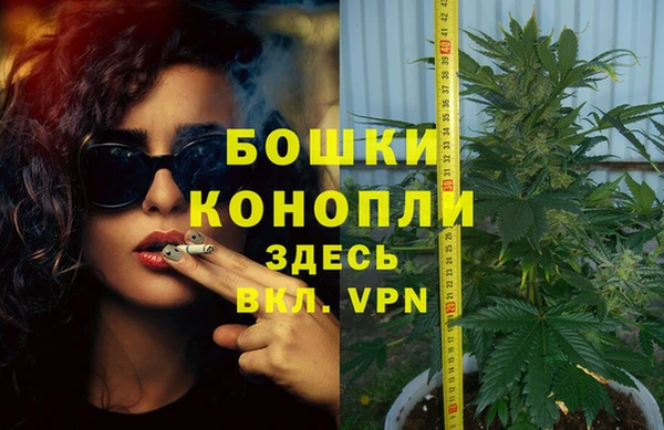 мдпв Пестово