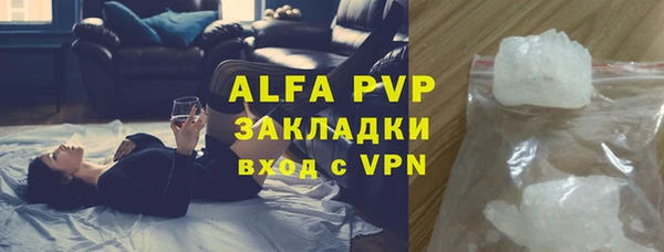 ПСИЛОЦИБИНОВЫЕ ГРИБЫ Переславль-Залесский