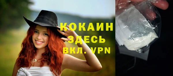 мдпв Пестово