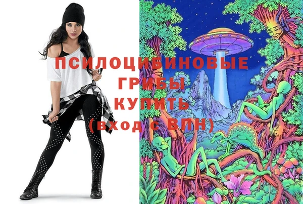 мдпв Пестово