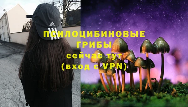 мдпв Пестово