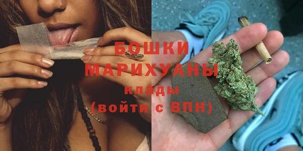 мдпв Пестово