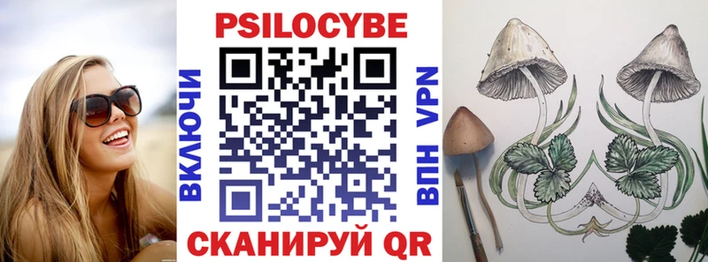 Галлюциногенные грибы мухоморы Купить Дыгулыбгей